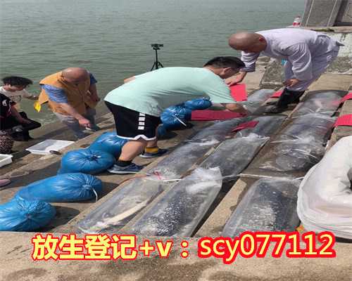 云南适合放生的鱼类，云南修改抚仙湖保护条例放生非土著生物将被罚