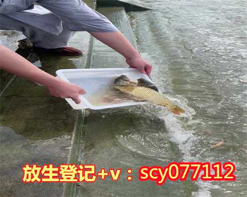 昆明湖放生鳝鱼在哪里，云南昆明2017年6月7日共修放